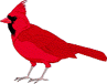 Ohio state bird image